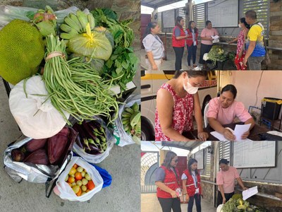 LOOK: Movement for Agrarian and Rural Advancement-Guibuangan Chapter supplies various vegetables to Home For Girls in Cabatuan, Iloilo
